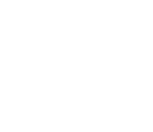 Panazzolo - 30 anos construindo as melhores histórias